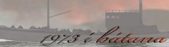 Application logo